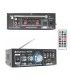 4 x 3 1/2" FM / USB / MANDO A DIST. (100W / 50WRMS) (ADASTRA + SKYTRONIC) 