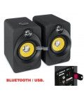 XP40 (BLUETOOTH / USB / AMPLIFICADOS) (2 x 40W) CLASE-D