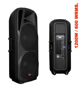 2 x 15" (1200W / 600 WRMS) (USB / SD / PANTALLA)