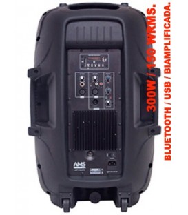 ASP 312A MKII (BLUETOOTH / USB / 300W / 150 WRMS)